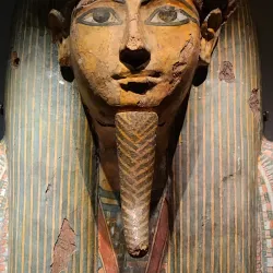 Houston Museum of Natural Science - Houston