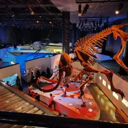 Houston Museum of Natural Science - Houston