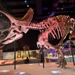 Houston Museum of Natural Science - Houston