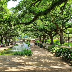 Houston Zoo - Houston