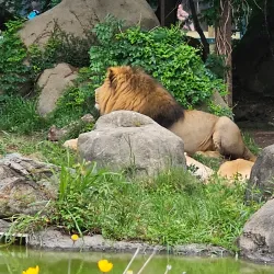 Houston Zoo - Houston