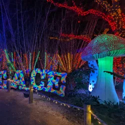 Houston Zoo - Houston