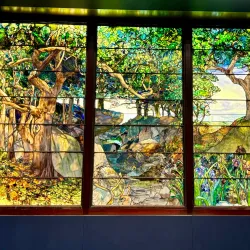 Museum of Fine Arts, Houston - Houston