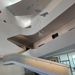 Museum of Fine Arts, Houston - Houston