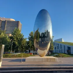 Museum of Fine Arts, Houston - Houston