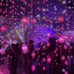 Museum of Fine Arts, Houston - Houston