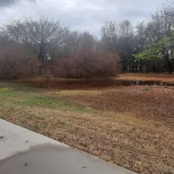 Campion Trail - Irving