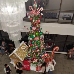 Irving Arts Center - Irving