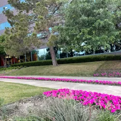 Lake Carolyn - Irving