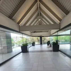 Mustangs of Las Colinas - Irving