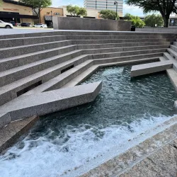 Mustangs of Las Colinas - Irving