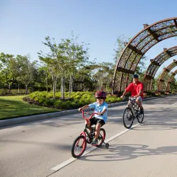 Cane Island Community Park - Katy