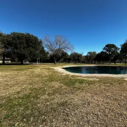 Katy Dog Park - Katy