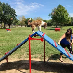 Katy Dog Park - Katy