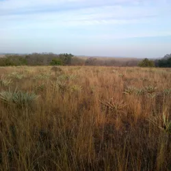 Fort Worth Nature Center & Refuge - Keller