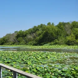 Fort Worth Nature Center & Refuge - Keller