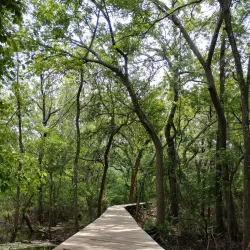 Fort Worth Nature Center & Refuge - Keller