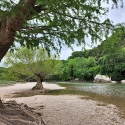 Guadalupe River State Park - Kerrville