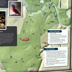 Guadalupe River State Park - Kerrville