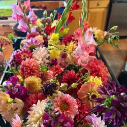 Kerrville Farmers Market - Kerrville