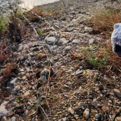 Kerrville River Trail - Kerrville