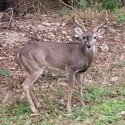 Kerrville River Trail - Kerrville
