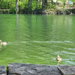 Kerrville-Schreiner Park - Kerrville