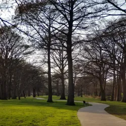 Louise Hays Park - Kerrville