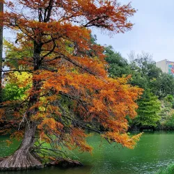 Louise Hays Park - Kerrville