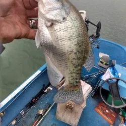 Stillhouse Hollow Lake - Killeen