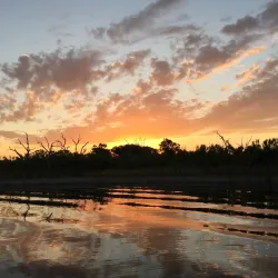 Stillhouse Hollow Lake - Killeen