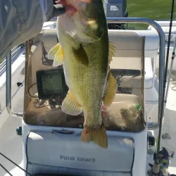 Stillhouse Hollow Lake - Killeen