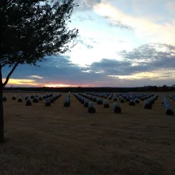 Veterans Memorial Park - Killeen