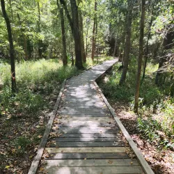 Easthaven Park - Kingwood