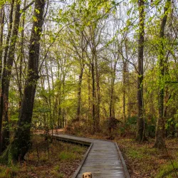 Easthaven Park - Kingwood