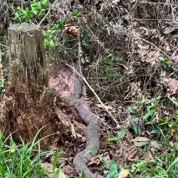 Easthaven Park - Kingwood