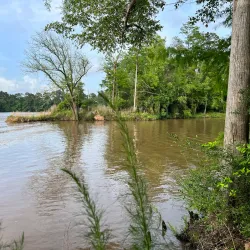 Easthaven Park - Kingwood