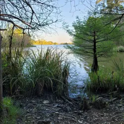 Easthaven Park - Kingwood