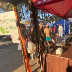 Kingwood Farmers Market - Kingwood