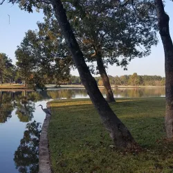 Kingwood Golf Course - Kingwood