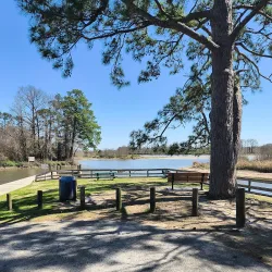 Kingwood Trail System - Kingwood