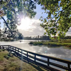 Kingwood Trail System - Kingwood