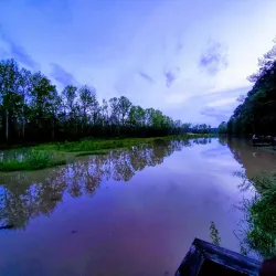 Kingwood Trail System - Kingwood