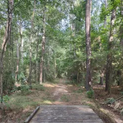 Lake Houston Wilderness Park - Kingwood