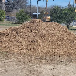 Timber Ridge Park - Kingwood