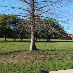 Timber Ridge Park - Kingwood