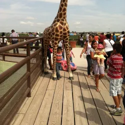 Zoologico de Nuevo Laredo - Laredo