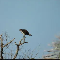 Clear Creek Nature Center - League City