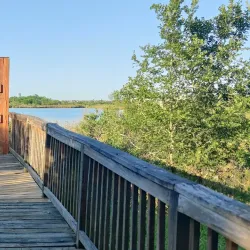 Clear Creek Nature Center - League City