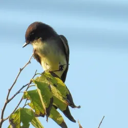 Clear Creek Nature Center - League City
